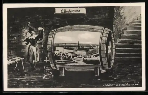 AK Budejovice, Panorama