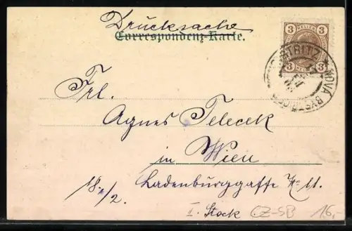 AK Neubistritz, Partie an der Schule