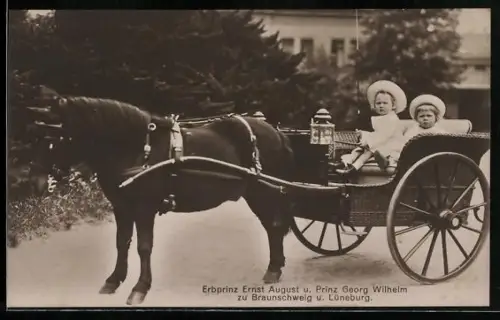 AK Erbprinz Ernst August und Prinz Georg Wilhelm als Knaben in Ponygespann