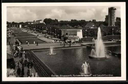 AK Essen, Gruga-Park, Farbenterrassen mit Leuchtfontaine, Ausstellung