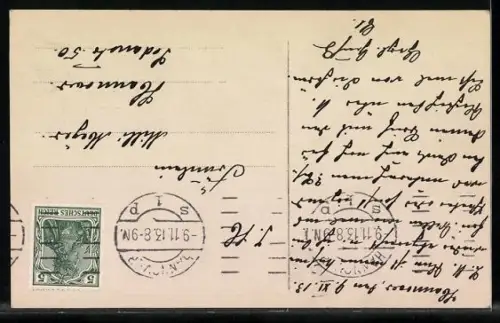 AK Braunschweig, Einzug des Herzogs Ernst August u. Gemahlin Victoria Luise