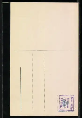 AK Prinzessin August Wilhelm von Preussen im Halbprofil mit Haarschmuck