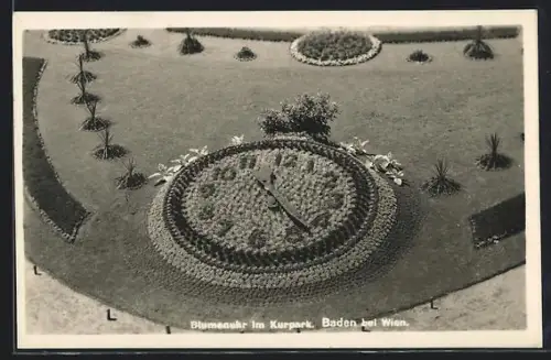 AK Baden bei Wien, Blumenuhr im Kurpark