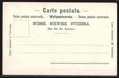 AK Neuchatel, Panorama