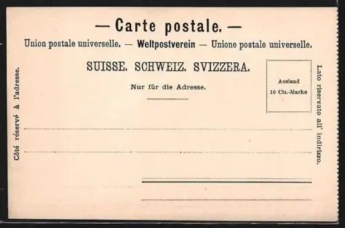 AK Zürich, Rathausquai mit Rüden