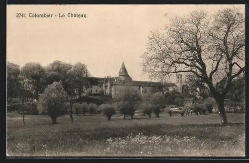 AK Colombier /NE, Le Chateau