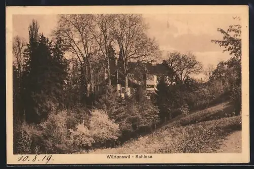 AK Wädenswil, Blick zum Schloss