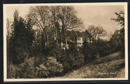 AK Wädenswil, Schloss hinter Bäumen verborgen