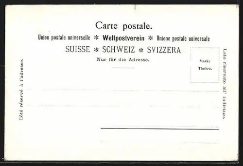 AK Zürich, Blick zum Landesmuseum