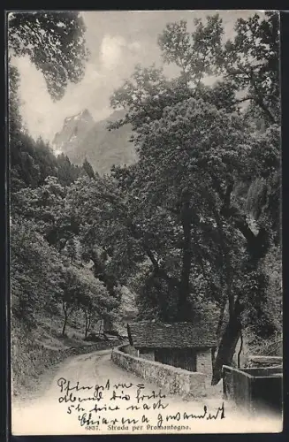 AK Promontogno, Strada