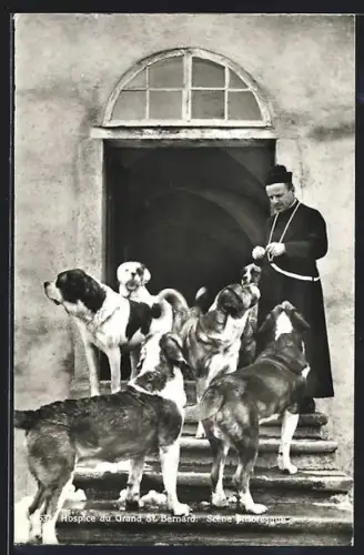 AK Grand St. Bernard, Hospice, Scène Pittoresque