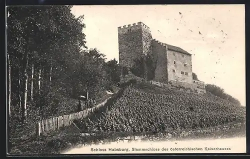 AK Habsburg, Schloss Habsburg, Stammschloss des österreichischen Kaiserhauses