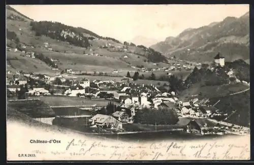 AK Château-d`Oex, Teilansicht mit Strassenpartie