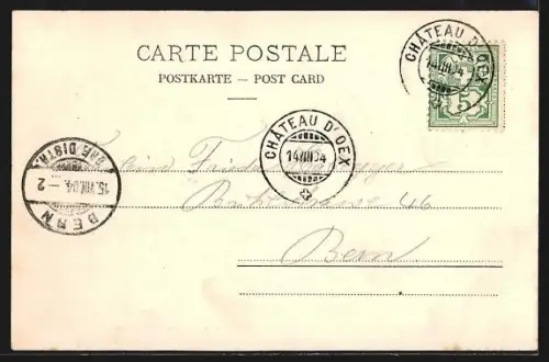 AK Château-d`Oex, Teilansicht mit Strassenpartie