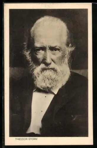 AK Porträt Dichter Theodor Storm