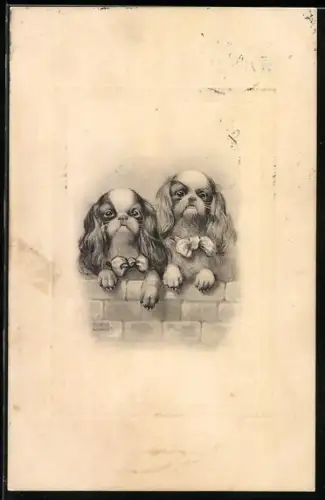 Künstler-AK Ulrich Weber: Zwei Hunde mit Schleifen blicken über eine Mauer