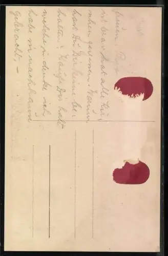 AK Nagybecskerek, Rózsa szálloda, Vasutá lomás, Polgári és felsö kereskedelmi iskola