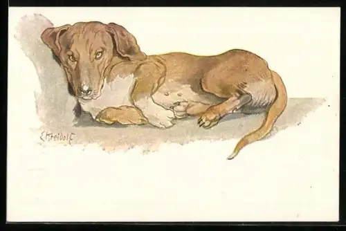 Künstler-AK Ernst Kreidolf: Dackel auf Chaiselongue