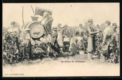AK Au temps de vendanges, Weinlese
