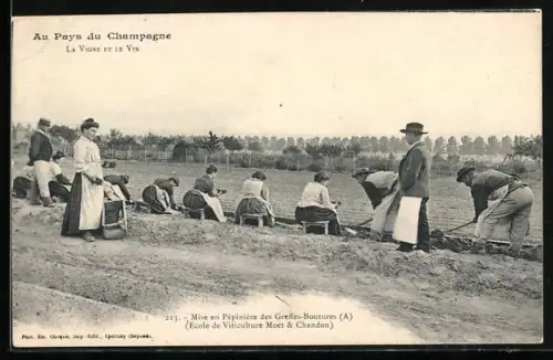 AK Champagne, La Vigne et le Vin, Wein