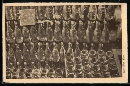 AK Rheims, NY, Wine cellar of the Pleasant Valley Wine Co., Wein