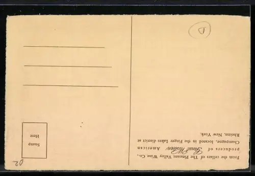 AK Rheims, NY, Wine cellar of the Pleasant Valley Wine Co., Wein