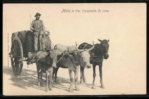 AK Muta a tre, transporto di vino, Wein