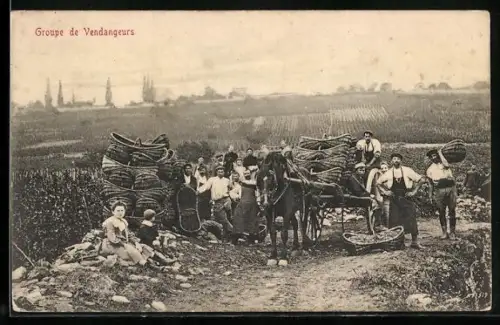 AK Männer bei der Weinlese