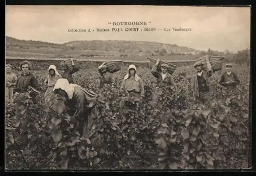 AK Dijon, Les Vendanges, Wein