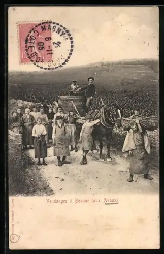 AK Weinbauer bei der Ernte