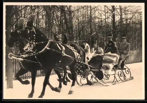 AK `s Gravenhage, Königliche Familie von den Niederlanden auf Pferdeschlitten 1940