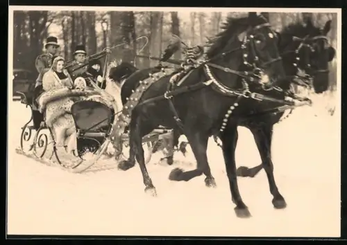AK `s Gravenhage, Königliche Familie von den Niederlanden auf Pferdeschlitten 1940