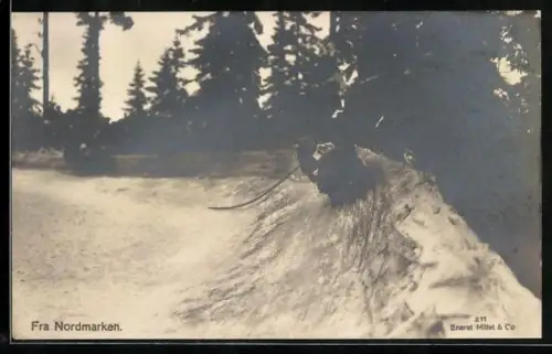 AK Nordmarken, Schlitten in einer Steilkurve