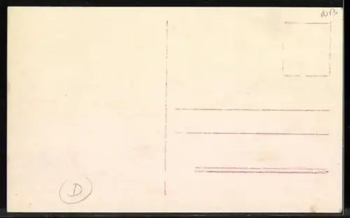 AK Nordmarken, Schlitten in einer Steilkurve
