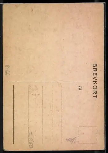 AK Will Olbrecht, der lustige Pladerer, Komiker
