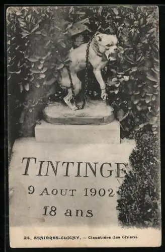 AK Asnieres-Clichy, Cimetiere des Chiens, Tintinge, 18 ans