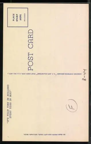 AK Holland, Michigan, Tulip Time, Nelis Tulip Farm, Landwirtschaft