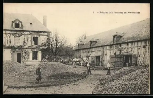 AK Récolte des Pommes en Normandie, Apfelernte