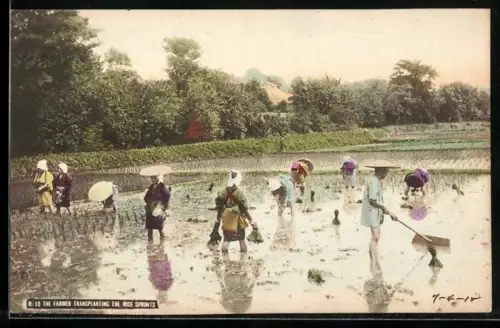 AK Bauern beim Pflanzen von Reissetzlingen
