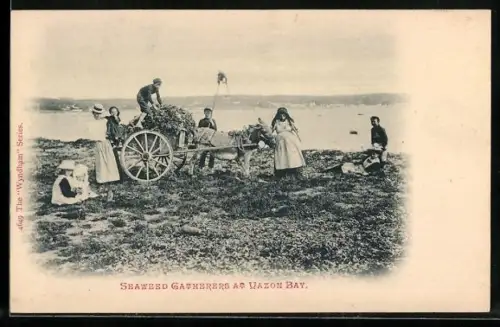 AK Seetangsammler in Vazon Bay