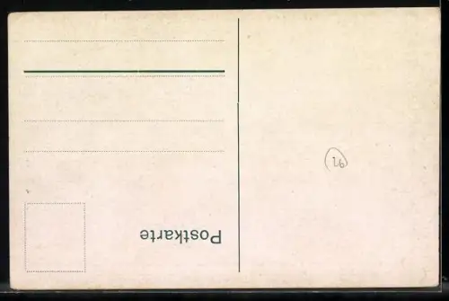 AK Albany, Aerial view of Albany