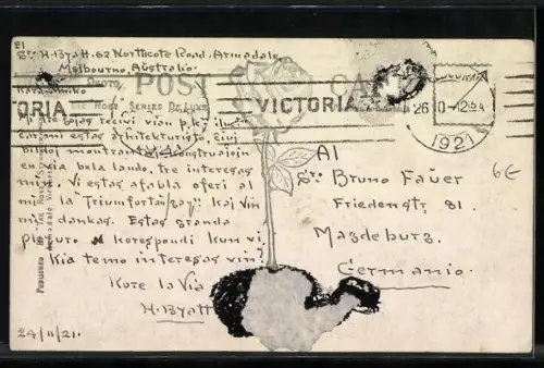 AK Melbourne /Vic., A Pathway in the Fitzroy Gardens