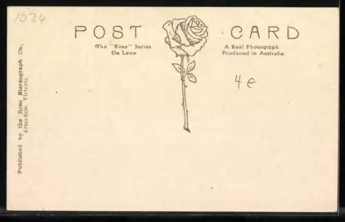 AK Adelaid /S. A., View in the Botanical Gardens