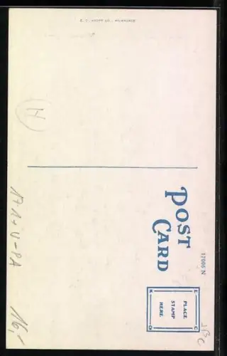 Künstler-AK Mt. Carmell, IL, Masonic Hall and Palace Theatre