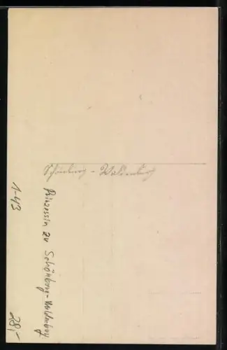 Foto-AK Prinzessin zu Schönburg-Waldenburg mit ihren Kindern beim Musizieren