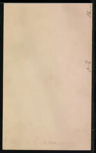 AK Herzog Adolf Friedrich und Herzogin Feodora zu Mecklenburg