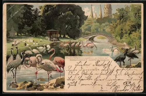 Lithographie Berlin, Partie im Zoologischen Garten mit Reiher, Flamingo und Störchen