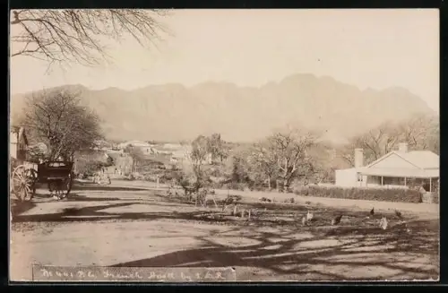 Foto-AK French Hoek, Panoramic View