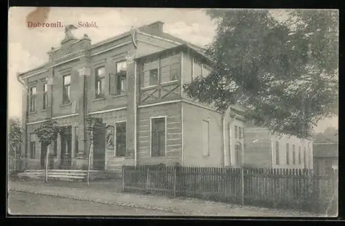 AK Dobromil, Sokol