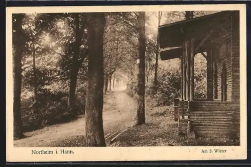 AK Northeim /Hann., Waldpartie mit Hütte und Wanderpfad